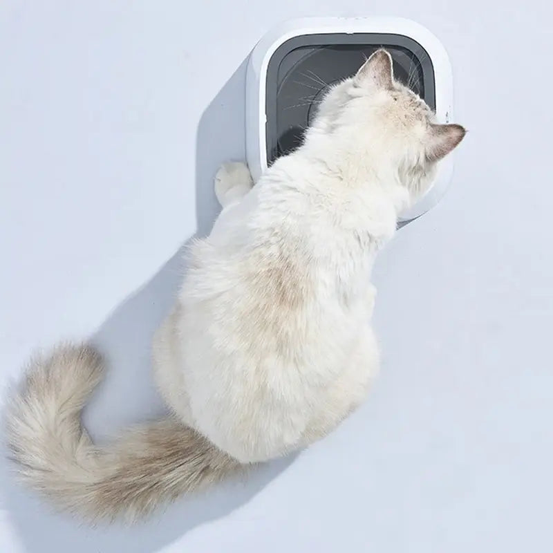 Tigelas de Água Flutuantes para Animais de Estimação! 🐾