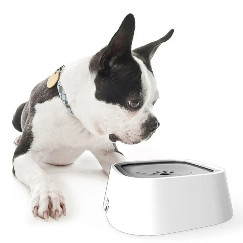 Tigelas de Água Flutuantes para Animais de Estimação! 🐾