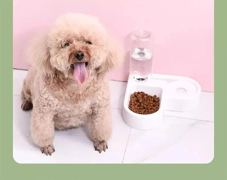 Tigela de Canto Dupla para Cães e Gatos!