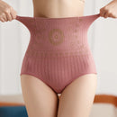 Flarixa Hip Lift Barriga Calcinha Cintura Alta